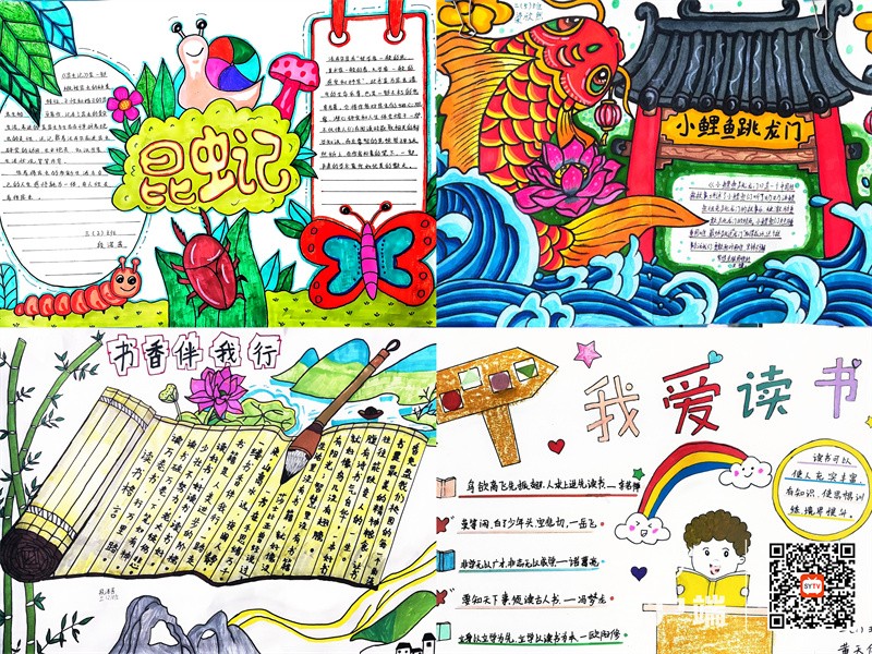 第二段后面照片_副本