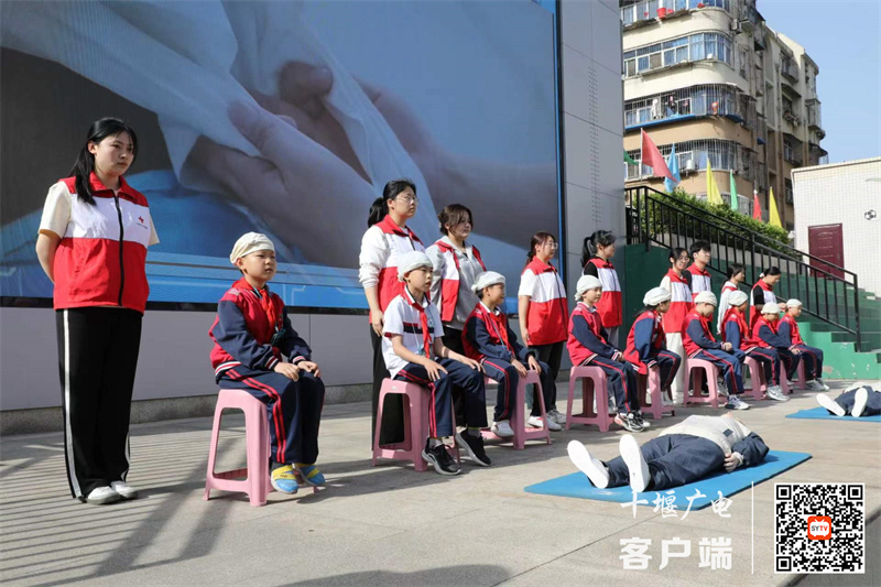 微信图片_20240426154257_副本