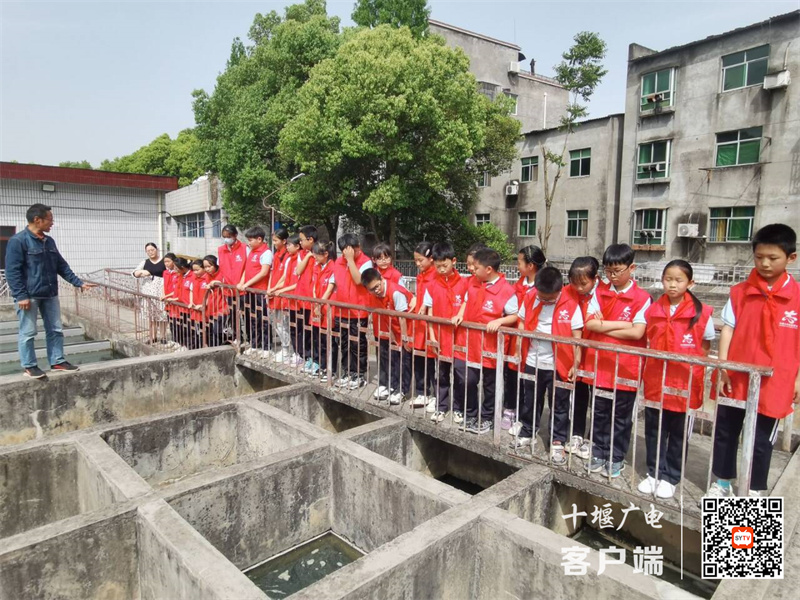 参观反应池、沉淀池_副本