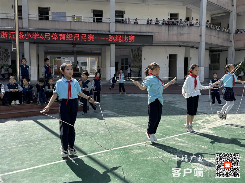 微信图片_20240428174918_副本