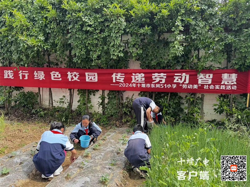 微信图片_20240429184618_副本