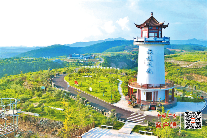 东方橄榄园