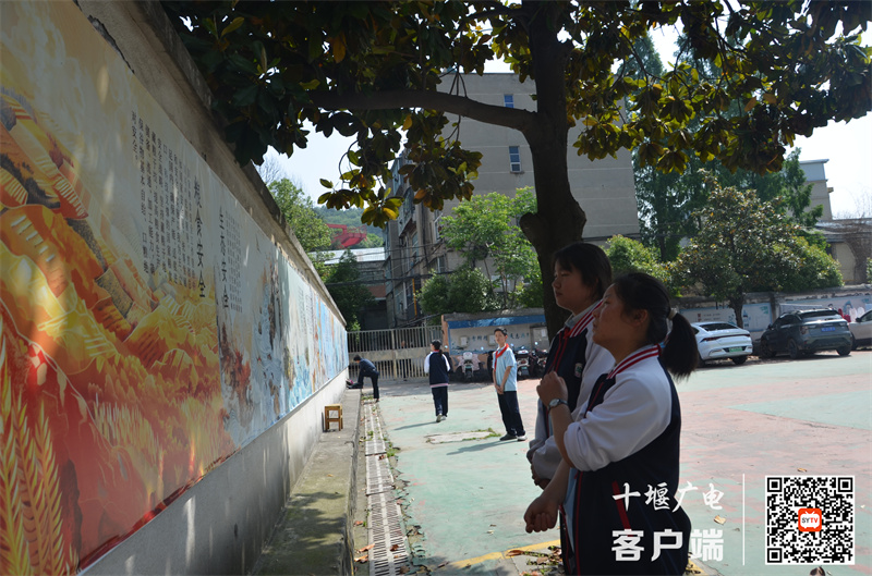 微信图片_20240507180621_副本