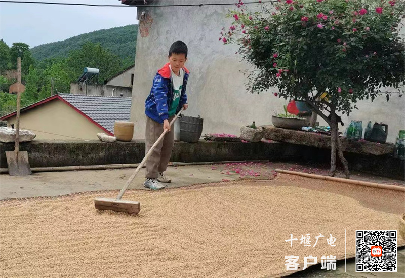 微信图片_20240507181819_副本
