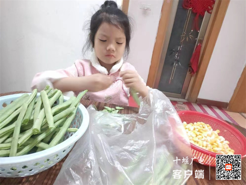 微信图片_20240507181826_副本