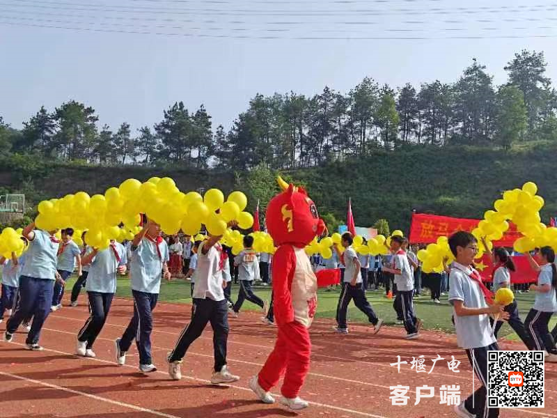 微信图片_20240508190318_副本
