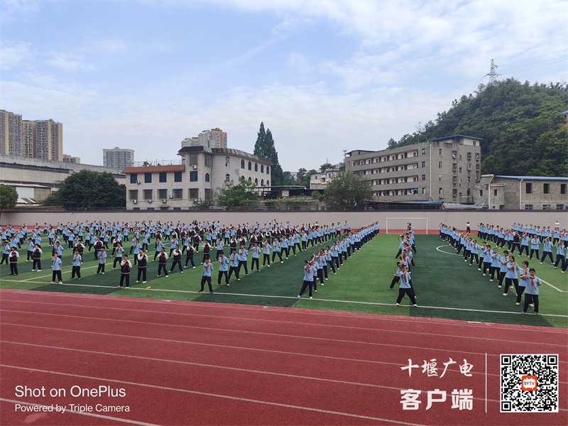 微信图片_20240513144130_副本