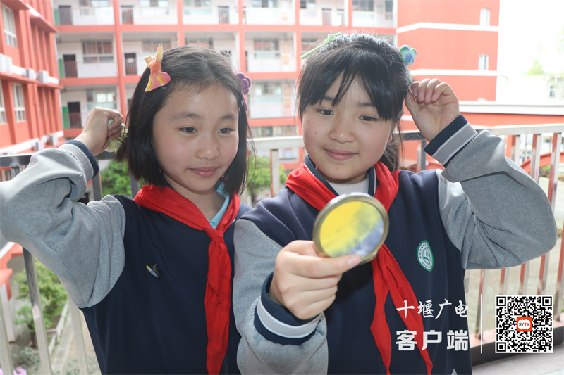 微信图片_20240515175933_副本