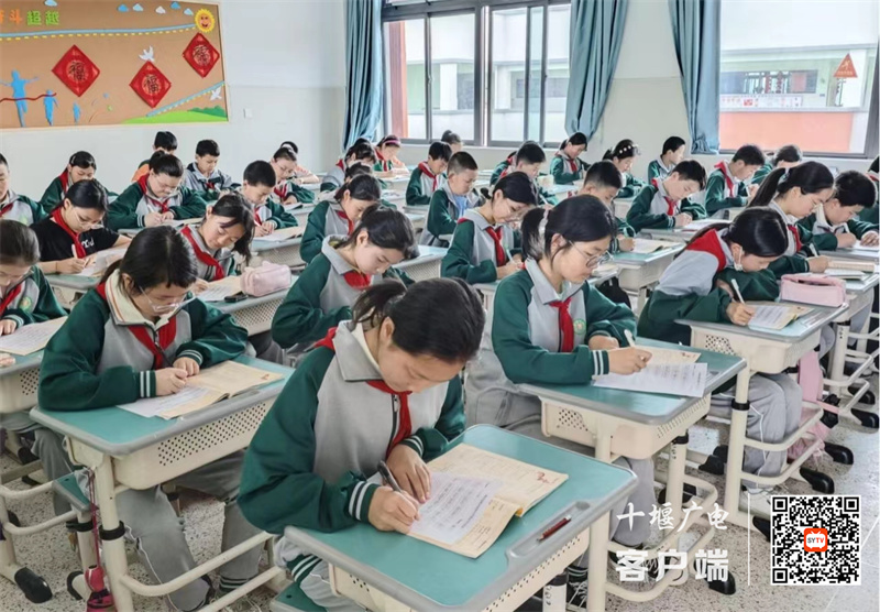 微信图片_20240516174003_副本