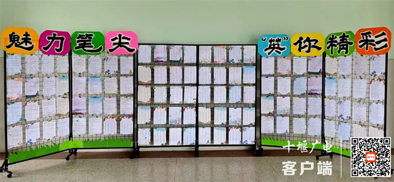 微信图片_20240516174007_副本