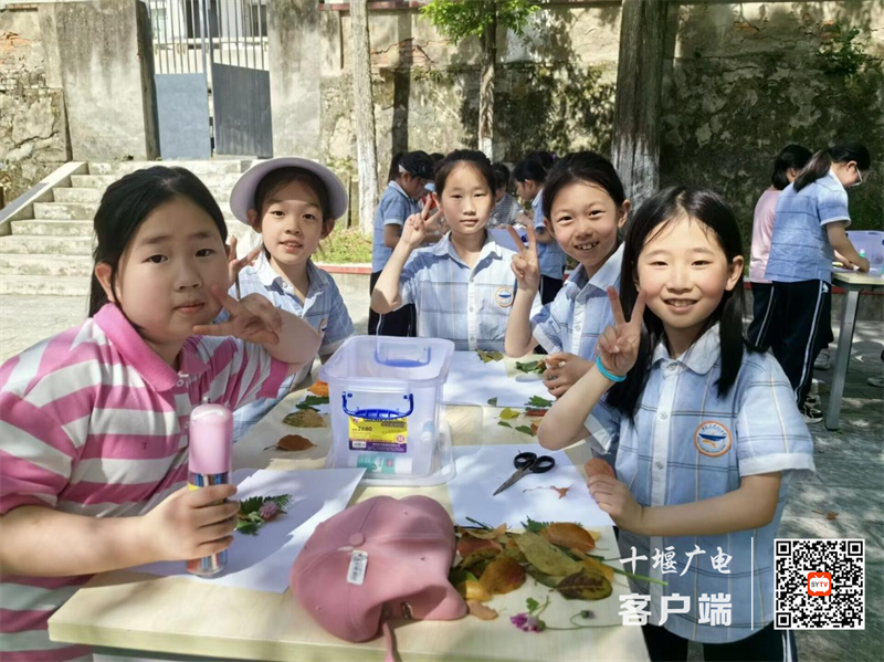 图片2_副本