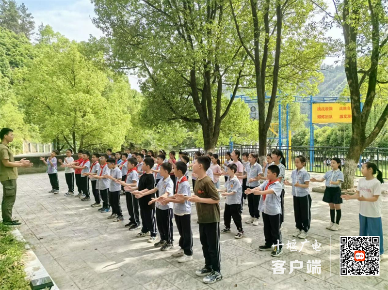 图片3_副本