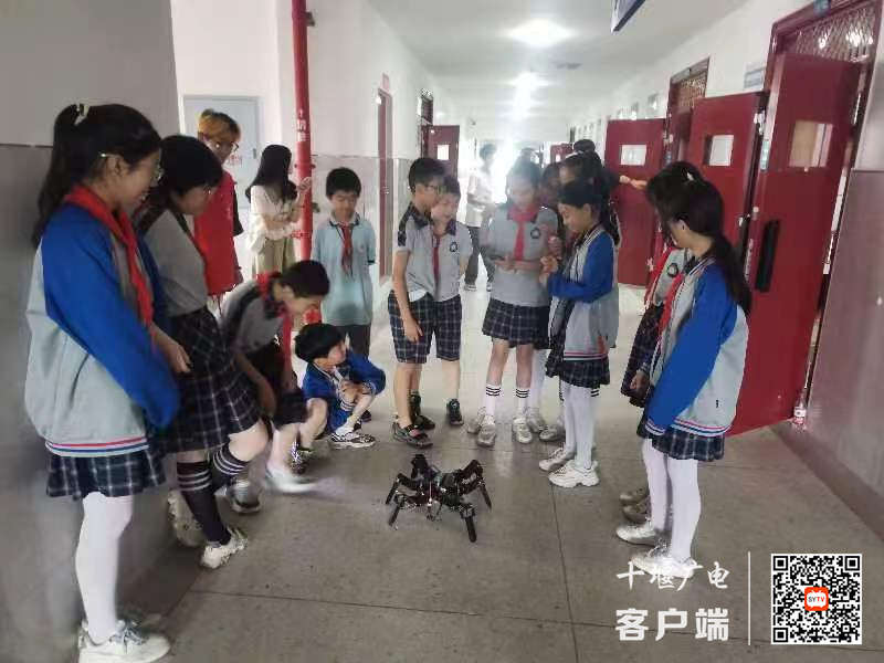 微信图片_20240516232524_副本