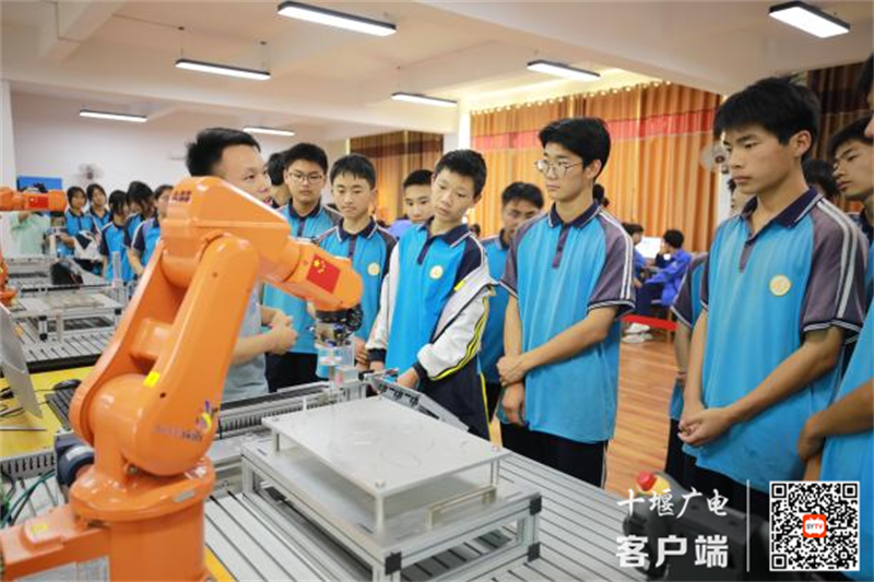 图片3_副本
