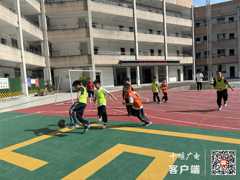 微信图片_20240517202501_副本