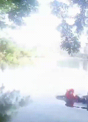 640_wx_fmt=gif&from=appmsg&tp=webp&wxfrom=5&wx_lazy=1&wx_co=1