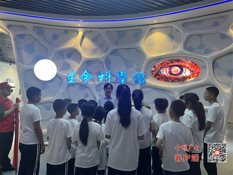 图片7
