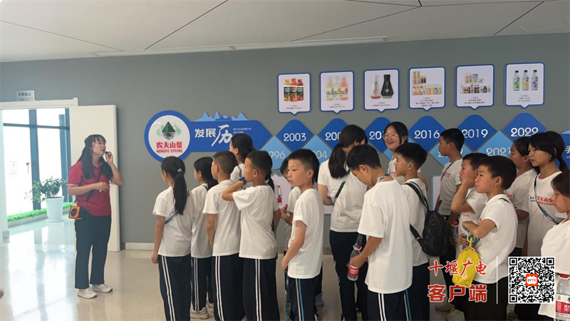 图片11
