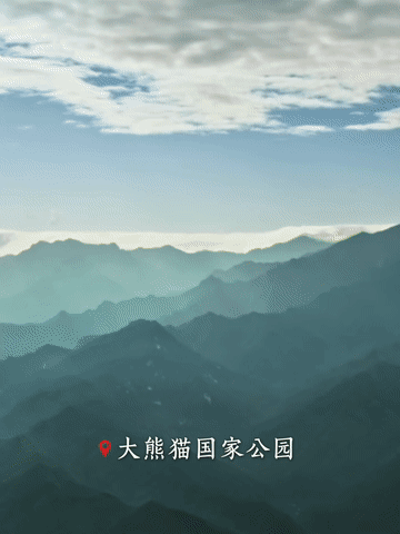 8d310412cdc343359e037163cf007b31