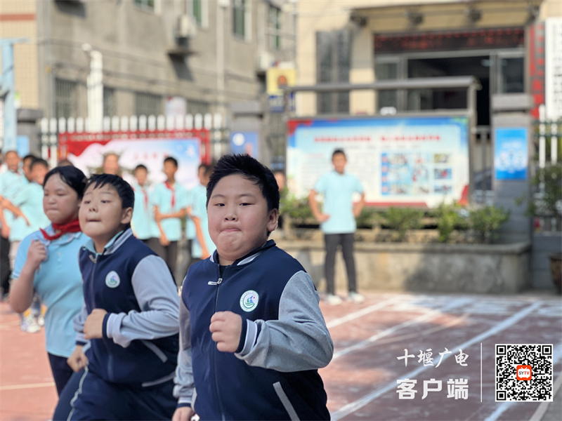 微信图片_20240527121205_副本