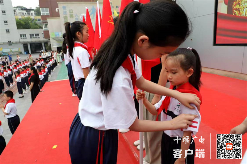 微信图片_20240528171329_副本