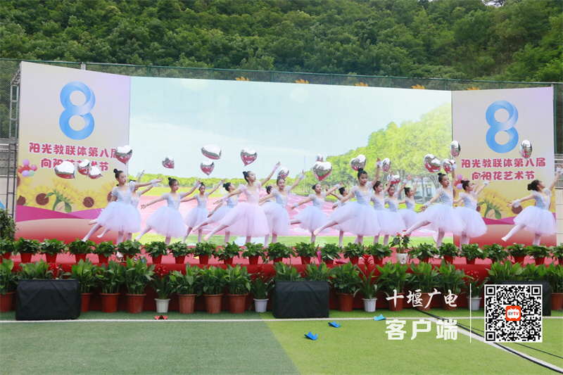 节目