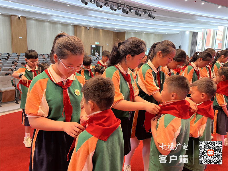 微信图片_20240530190213_副本