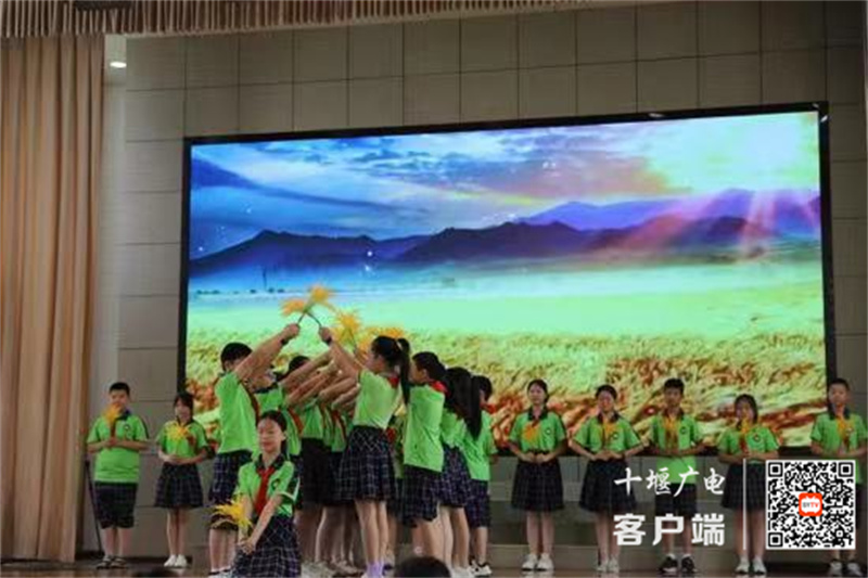 微信图片_20240601205237_副本