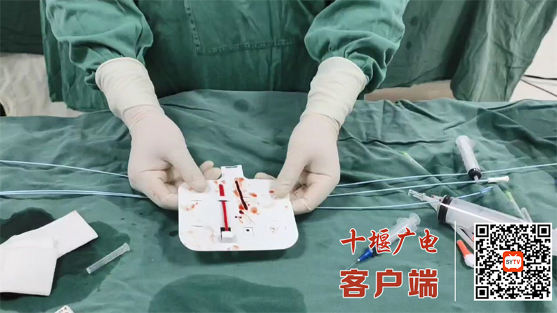 QQ截图20240605104800