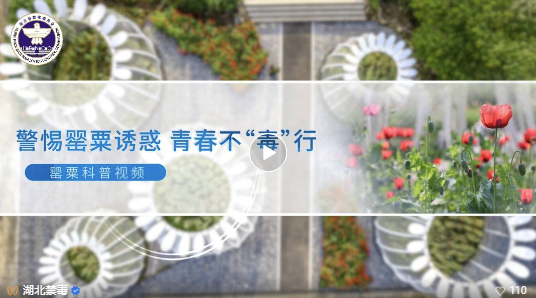 微信图片_20240605220412