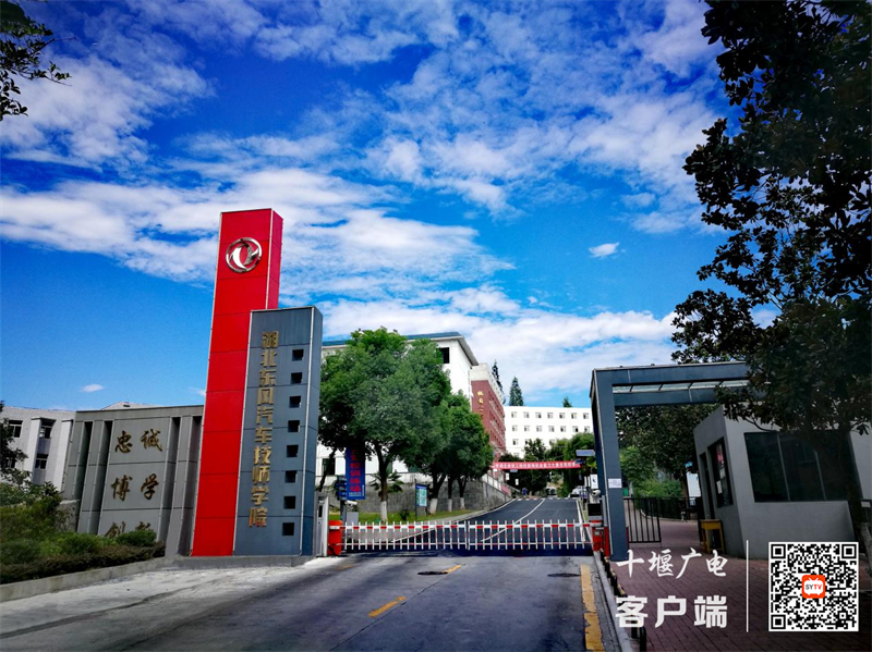 图片8_副本