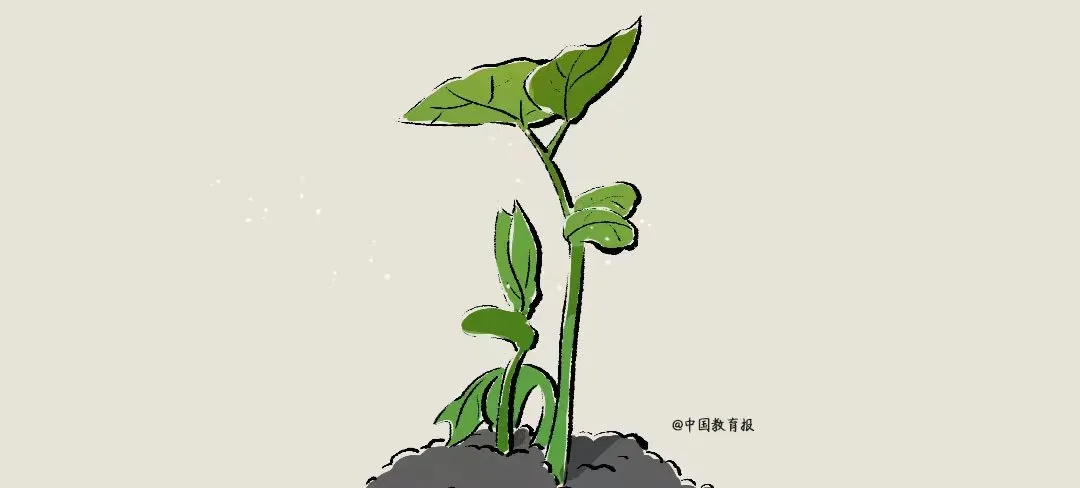 640_wx_fmt=other&wxfrom=5&wx_lazy=1&wx_co=1&tp=webp.webp (3)
