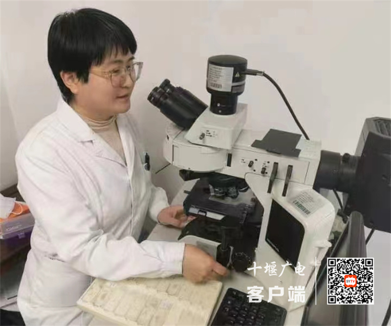 微信图片_20240611200545