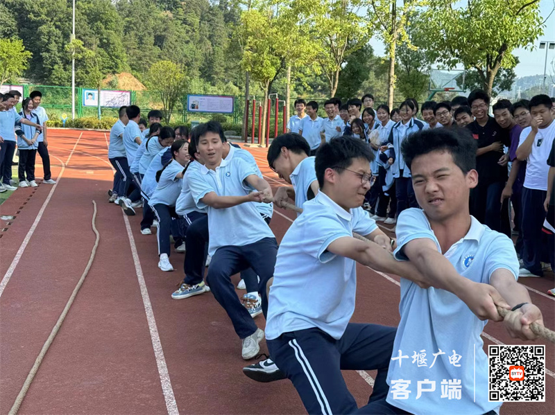 微信图片_20240613145526_副本