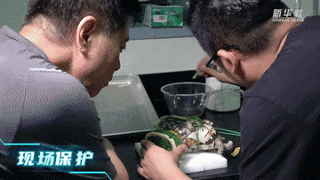 640_wx_fmt=gif&from=appmsg&tp=webp&wxfrom=5&wx_lazy=1&wx_co=1 (1)