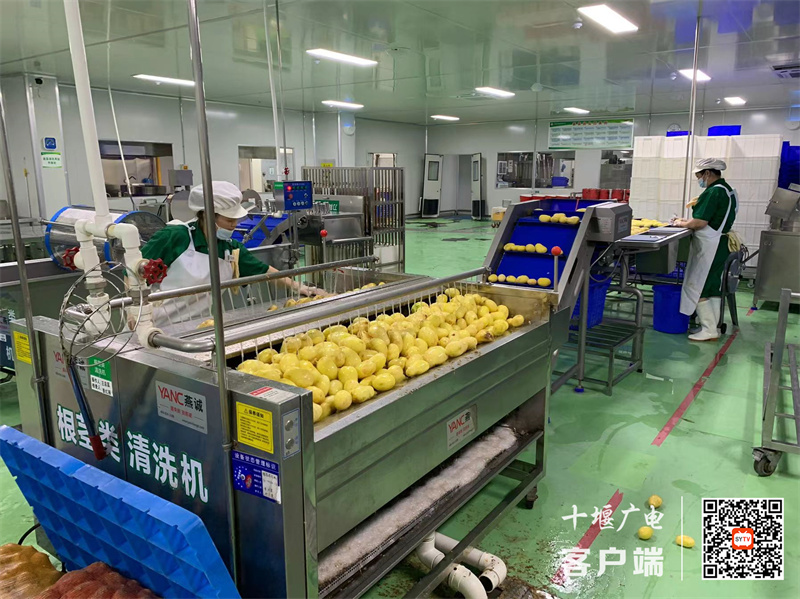微信图片_20240615121147_副本