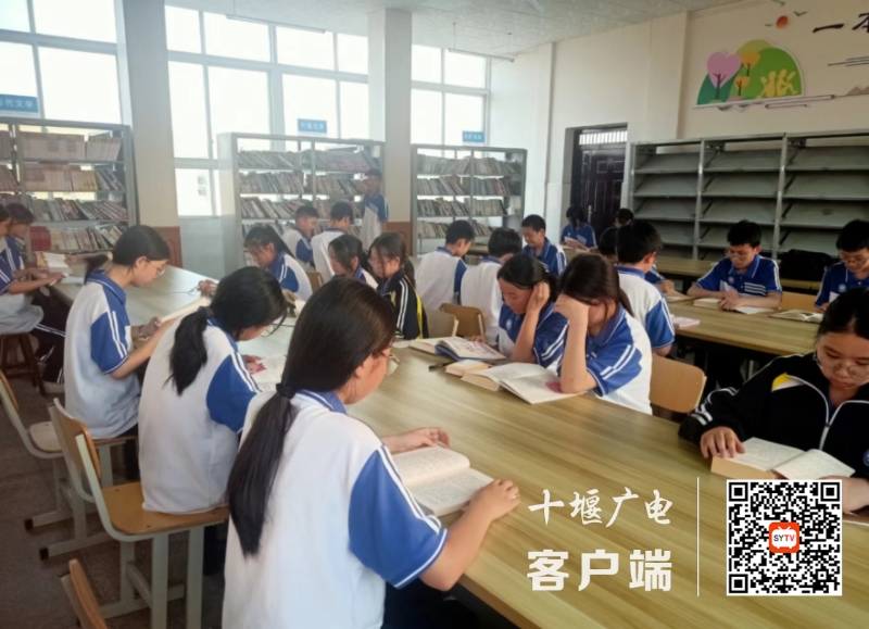 mmexport1718626154136_batch_1_1718626186560
