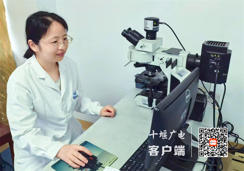 微信图片_20240618200059