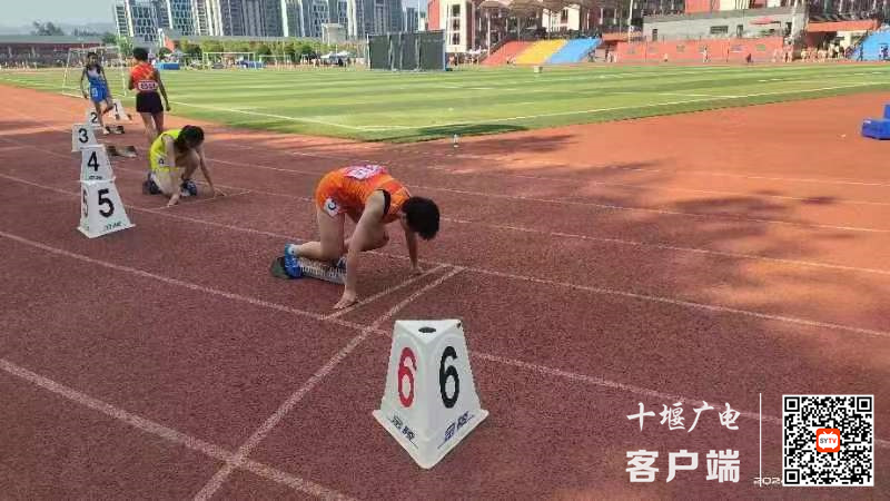 微信图片_20240618160138_副本