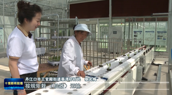 360截图20240625195002563