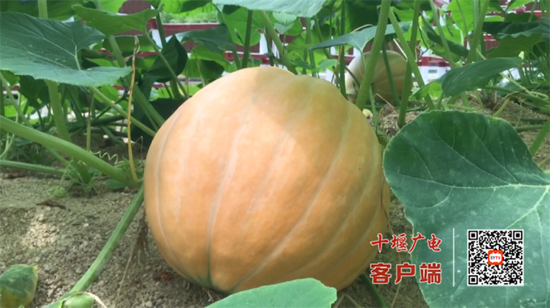 6月26日(1)