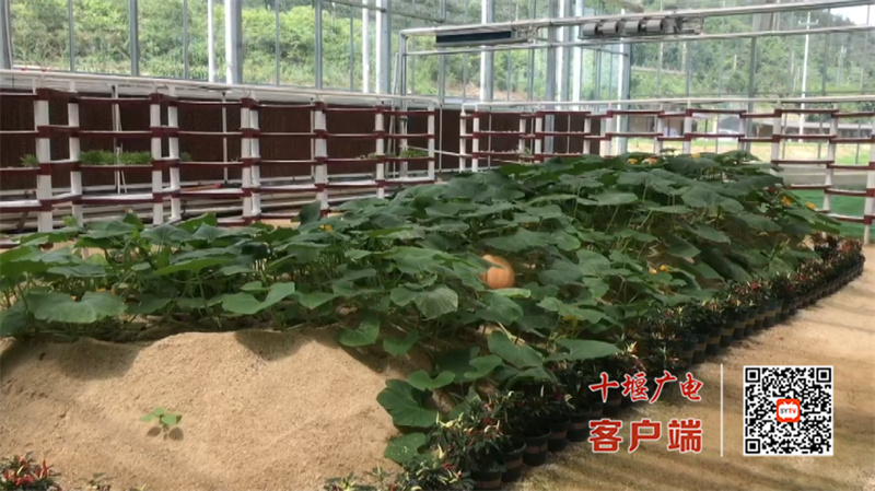 6月26日(2)