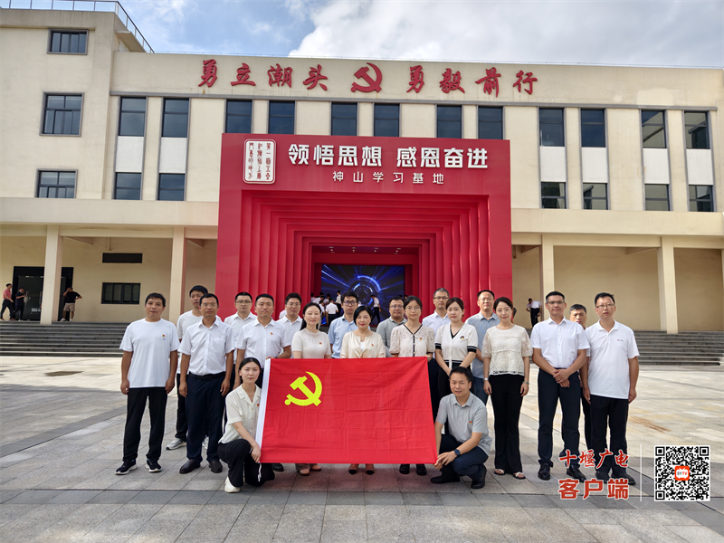 图片3