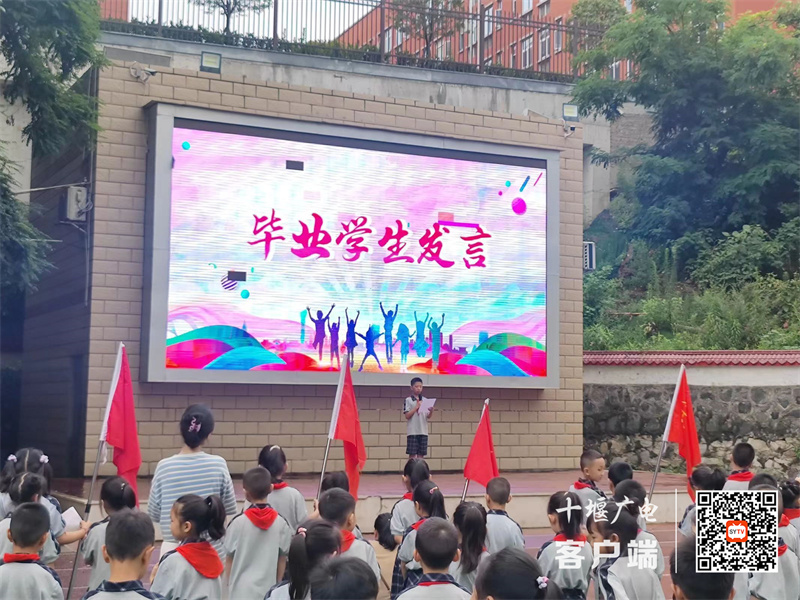 微信图片_20240704201158_副本