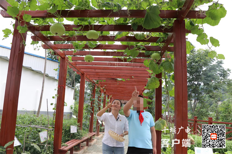 微信图片_20240704201124_副本