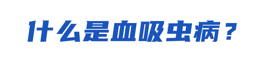 640