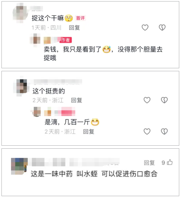 QQ_1721093137716