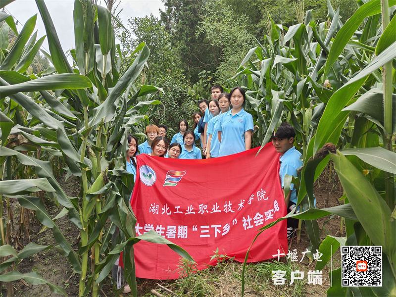 图片3_副本