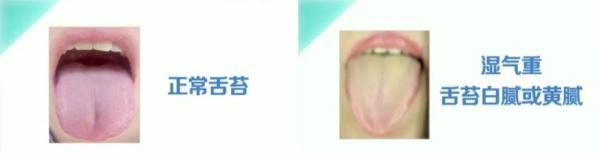 quality,Q_80 (5)