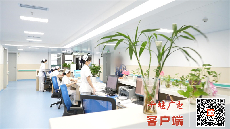 QQ截图20240807100717